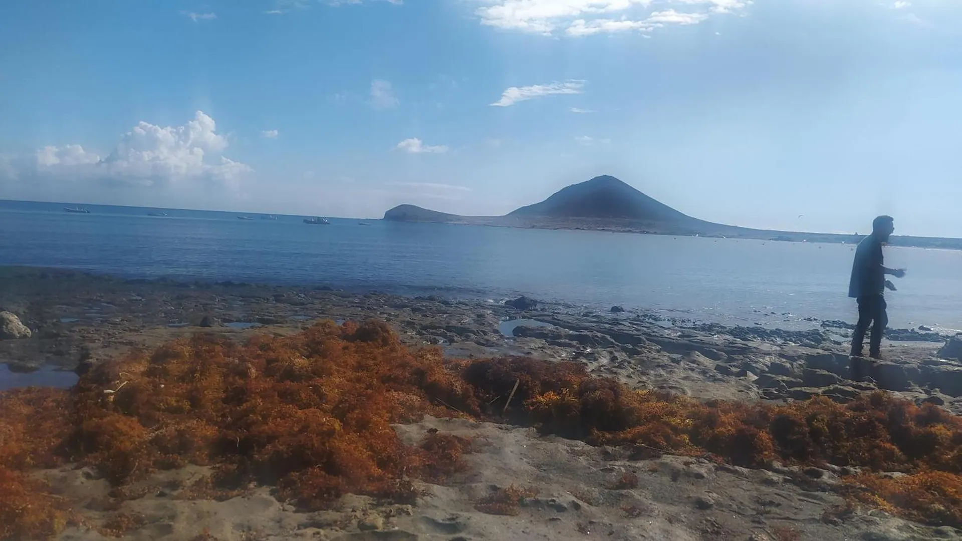 Apartamento Mar Azul El Medano